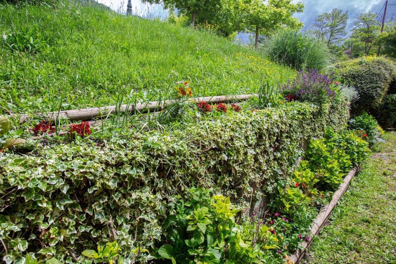 L'Ado Villa Ripoll Bagian luar foto