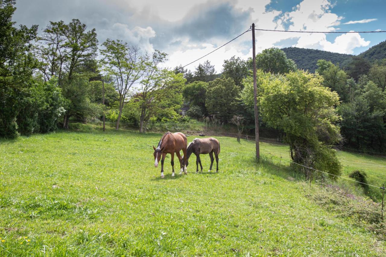 L'Ado Villa Ripoll Bagian luar foto